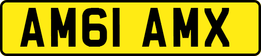 AM61AMX