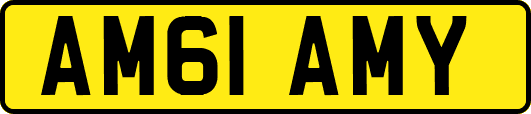 AM61AMY