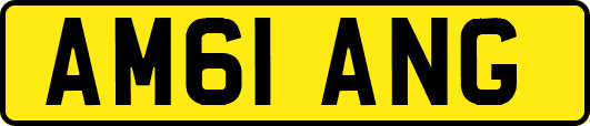 AM61ANG