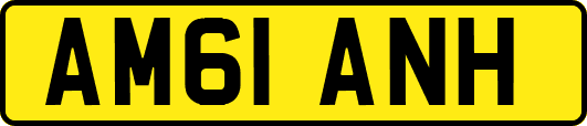 AM61ANH