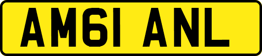 AM61ANL