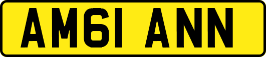 AM61ANN