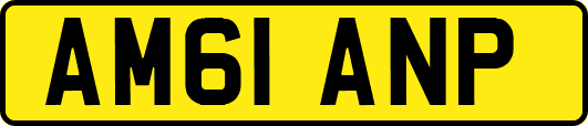 AM61ANP