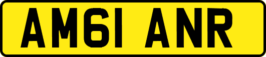 AM61ANR