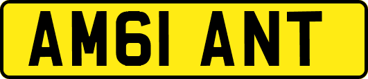 AM61ANT