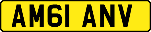 AM61ANV