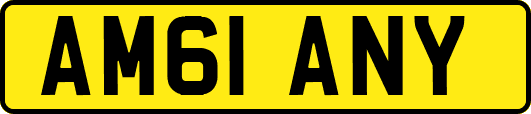 AM61ANY