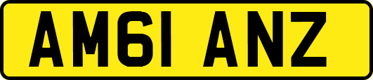 AM61ANZ