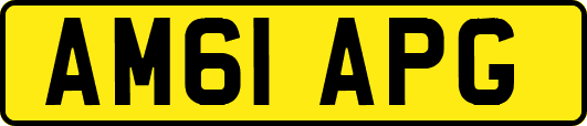 AM61APG