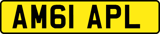 AM61APL