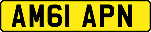 AM61APN