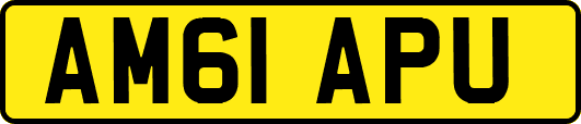 AM61APU