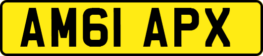 AM61APX