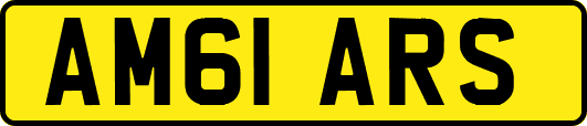 AM61ARS