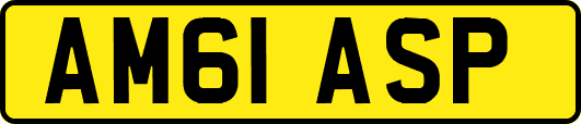 AM61ASP