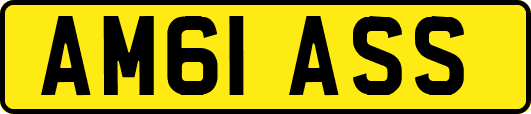 AM61ASS