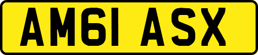AM61ASX