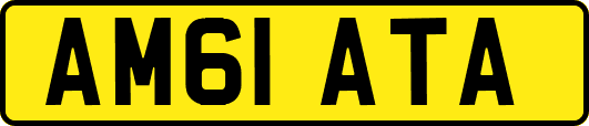 AM61ATA