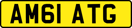 AM61ATG