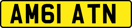 AM61ATN