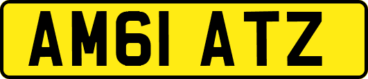 AM61ATZ