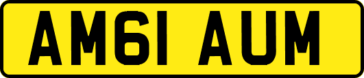 AM61AUM