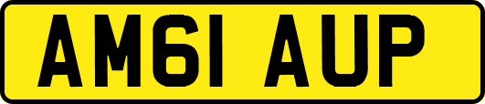 AM61AUP