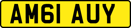 AM61AUY