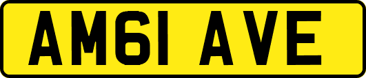 AM61AVE