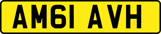AM61AVH