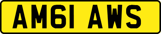 AM61AWS