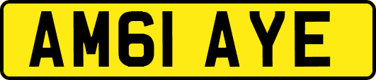 AM61AYE