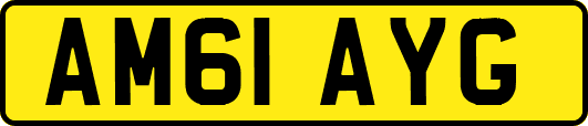 AM61AYG