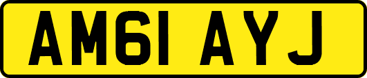 AM61AYJ