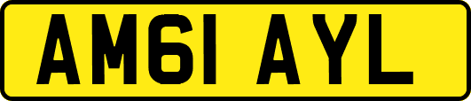 AM61AYL