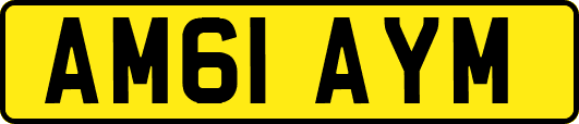 AM61AYM