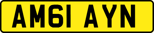 AM61AYN