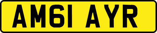 AM61AYR