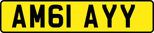 AM61AYY