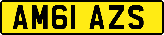 AM61AZS