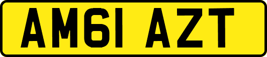 AM61AZT