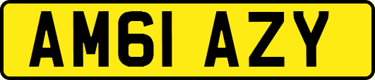 AM61AZY