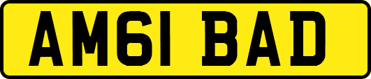 AM61BAD