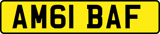 AM61BAF