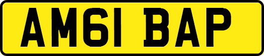 AM61BAP