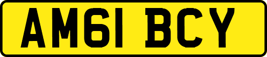 AM61BCY