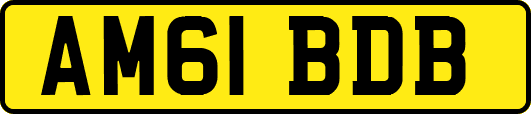 AM61BDB