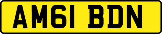AM61BDN