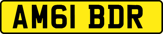 AM61BDR