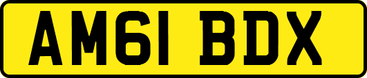 AM61BDX